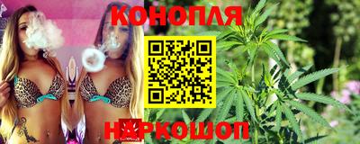 Альфа ПВП Краснознаменск