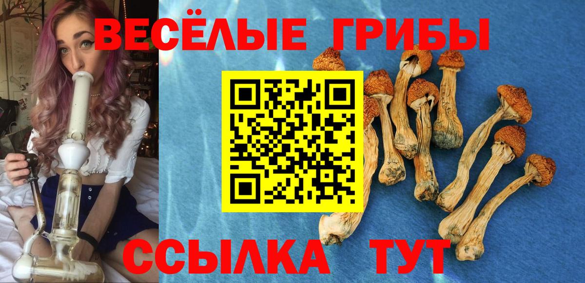 APVP Еманжелинск