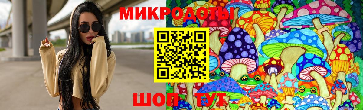 Галлюциногенные грибы Psilocybine cubensis Еманжелинск
