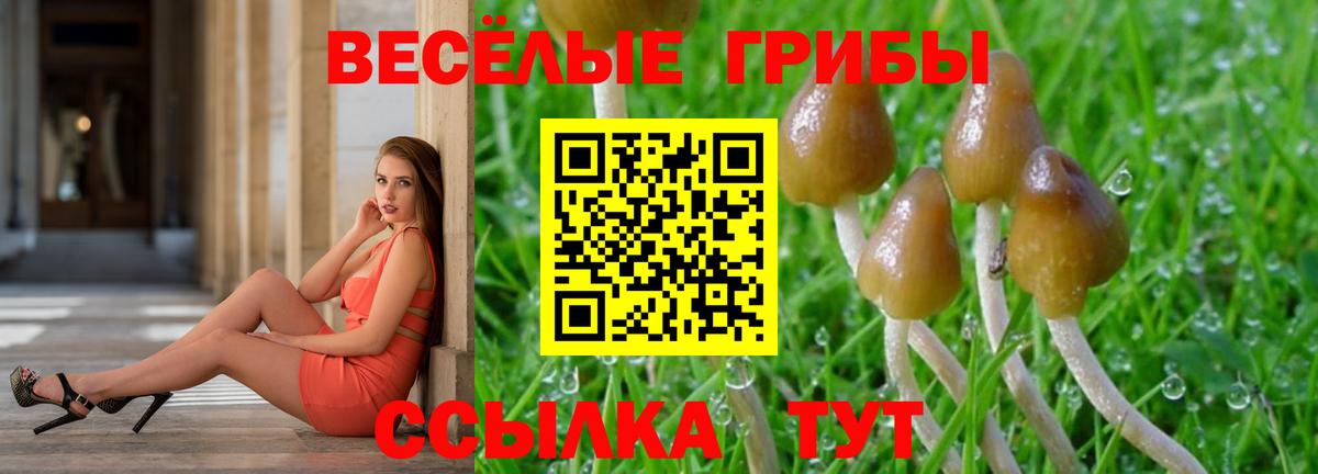 Еманжелинск  Галлюциногенные грибы Psilocybine cubensis  Вход с VPN 